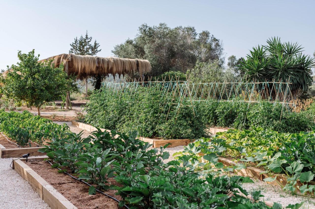 Agroturismo Can Domo Santa Eularia des Riu Exteriör bild